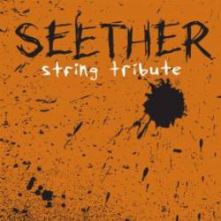 Seether : String Tribute To Seether
